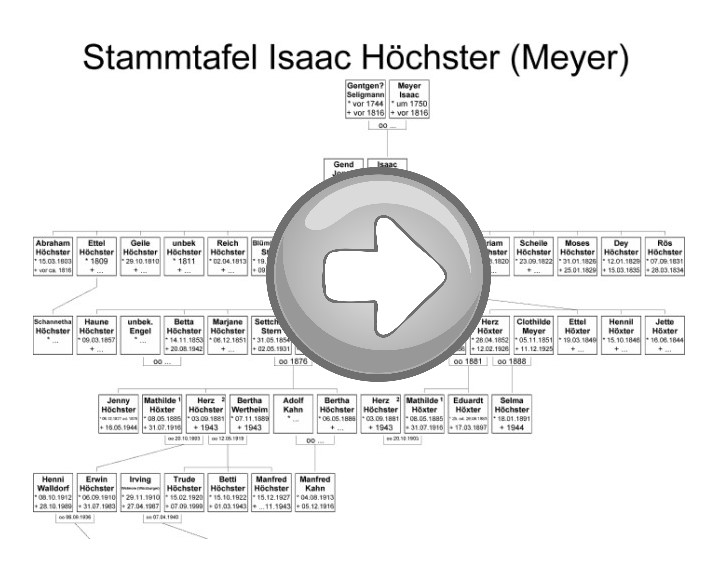 Grafik Stammbaum mit Pfeil